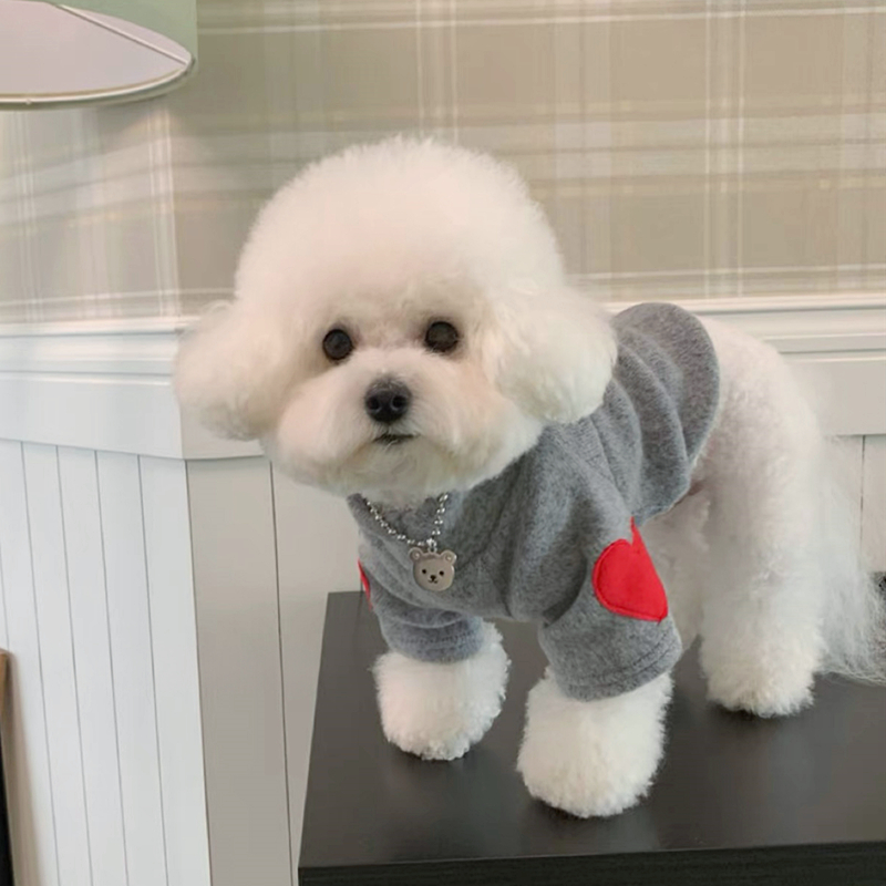 Winter Clothing For Dogs - Camisa de fondo de amor para