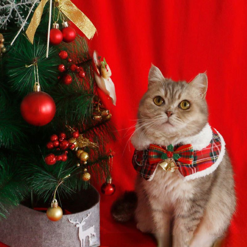 Winter Clothing For Dogs - Capa navideña para gato, capa de