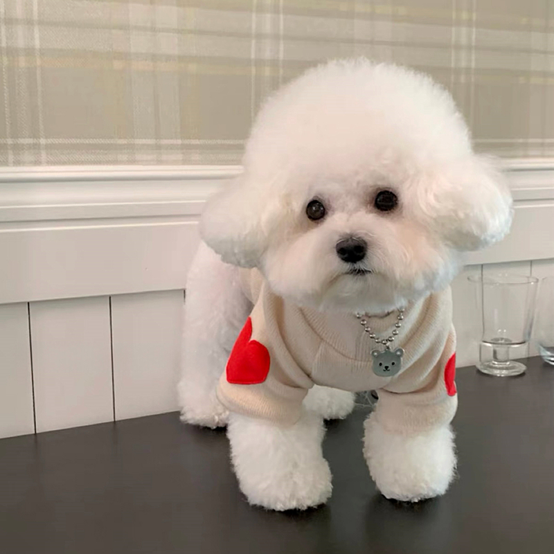 Camisa de fondo de amor para p - Winter Clothing For Dogs reseña y precio