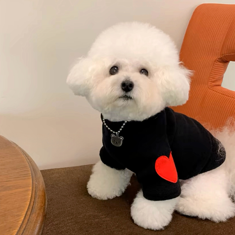 Camisa de fondo de amor para p - Winter Clothing For Dogs reseña y precio