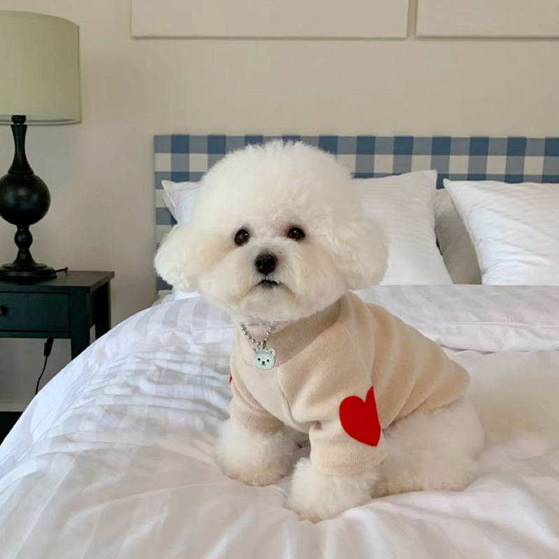 Camisa de fondo de amor para p - Winter Clothing For Dogs reseña y precio