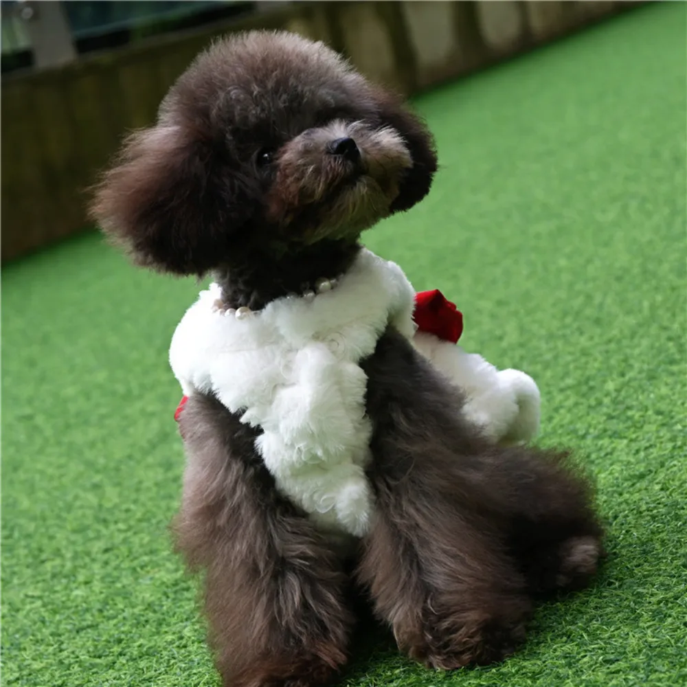 Vestido de piel de conejo para - Winter Clothing For Dogs reseña y precio