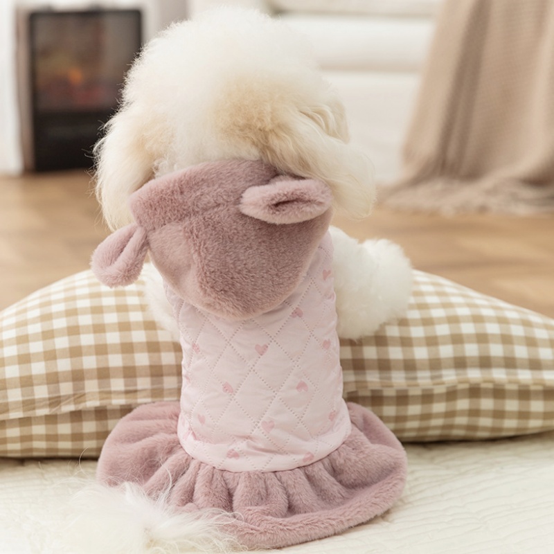 Chaqueta cálida de invierno pa - Winter Clothing For Dogs reseña y precio