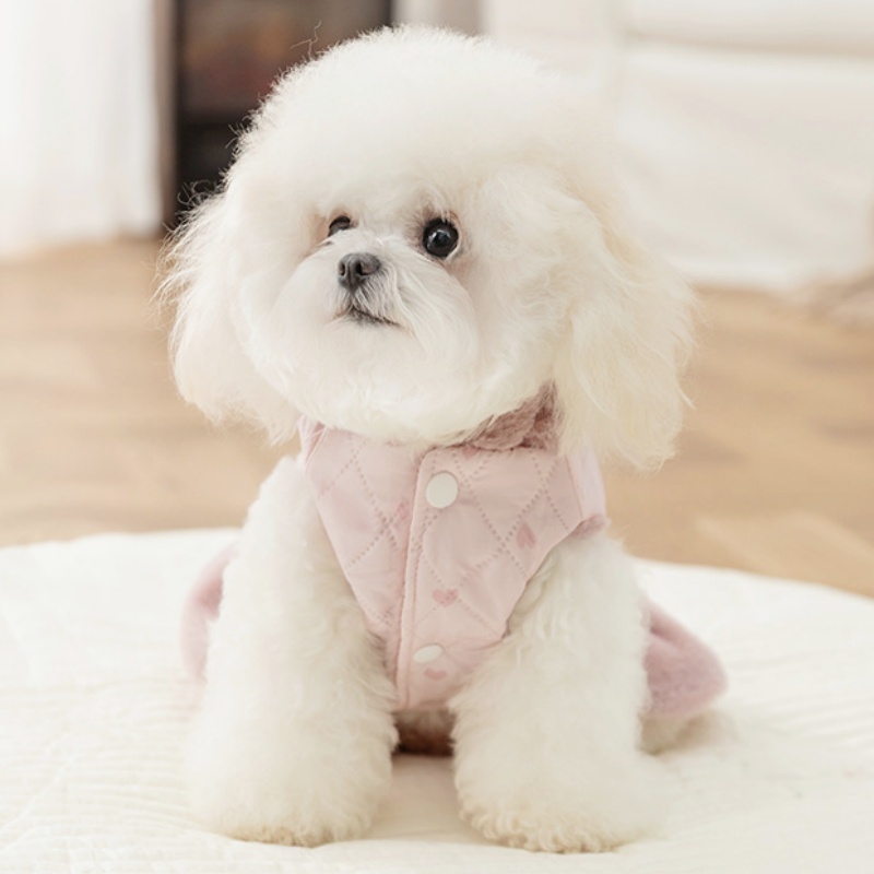 Chaqueta cálida de invierno pa - Winter Clothing For Dogs reseña y precio